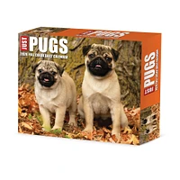 Just Pugs 2026 Box Calendar - Online Exclusive