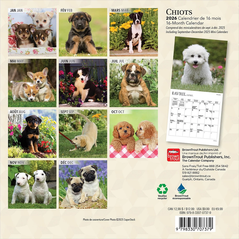 Chiots 2026 Mini Calendar (French)