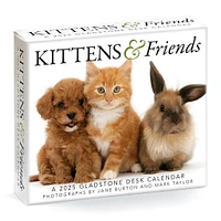 Kittens And Friends Box 2025 Calendar