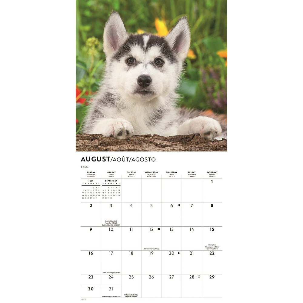 Siberian Husky Puppies 2026 Mini Calendar