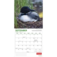 Canadian Geographic Loon 2026 Wall Calendar - Online Exclusive