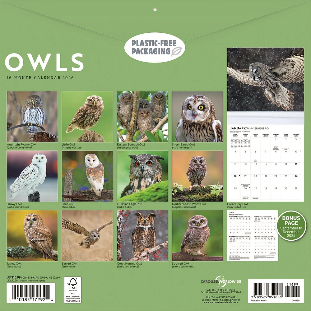 Owls 2026 Wall Calendar