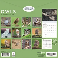 Owls 2026 Wall Calendar