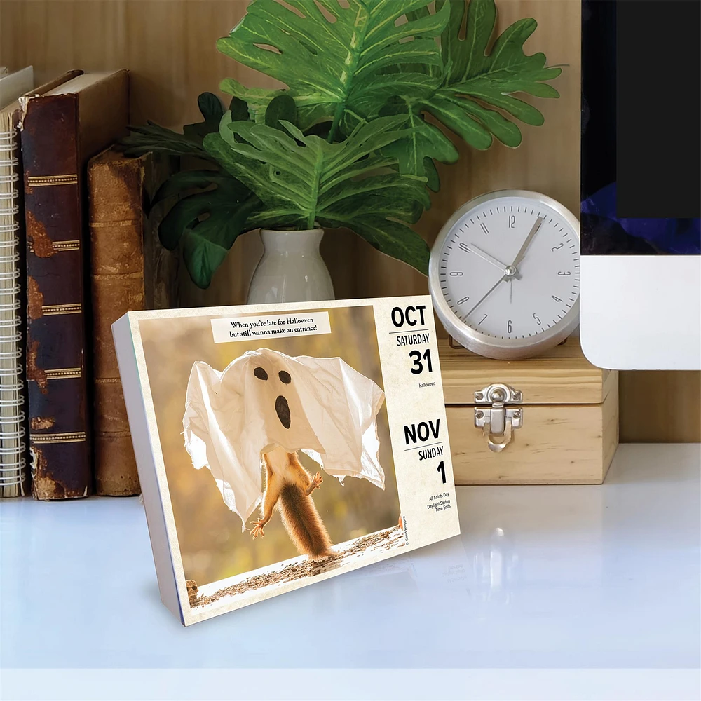 Gettin Squirrelly 2026 Box Calendar