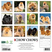Just Chow Chows 2026 Wall Calendar
