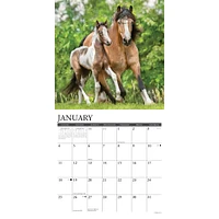 Paint Horses 2026 Wall Calendar