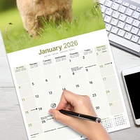 Norwich Norfolk Terrier 2026 Wall Calendar