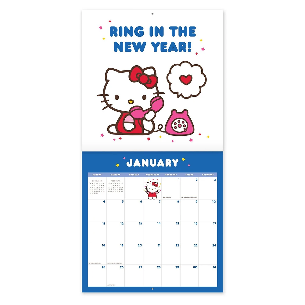 Hello Kitty Playful Pink 2026 Wall Calendar