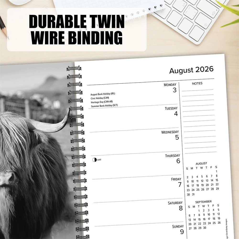 Highland Cows 2026 Engagement Calendar