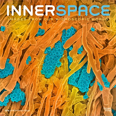 Innerspace 2026 Wall Calendar - Online Exclusive