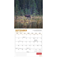 Canadian Geographic Moose 2026 Wall Calendar