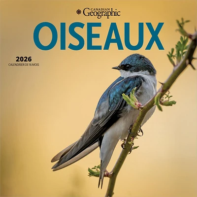 Canadian Geographic Oiseaux 2026 Mini Calendar (French)