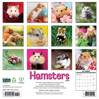 Hamsters 2026 Wall Calendar