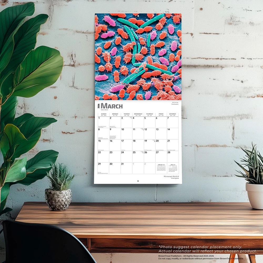Innerspace 2026 Wall Calendar - Online Exclusive
