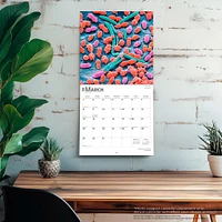 Innerspace 2026 Wall Calendar - Online Exclusive