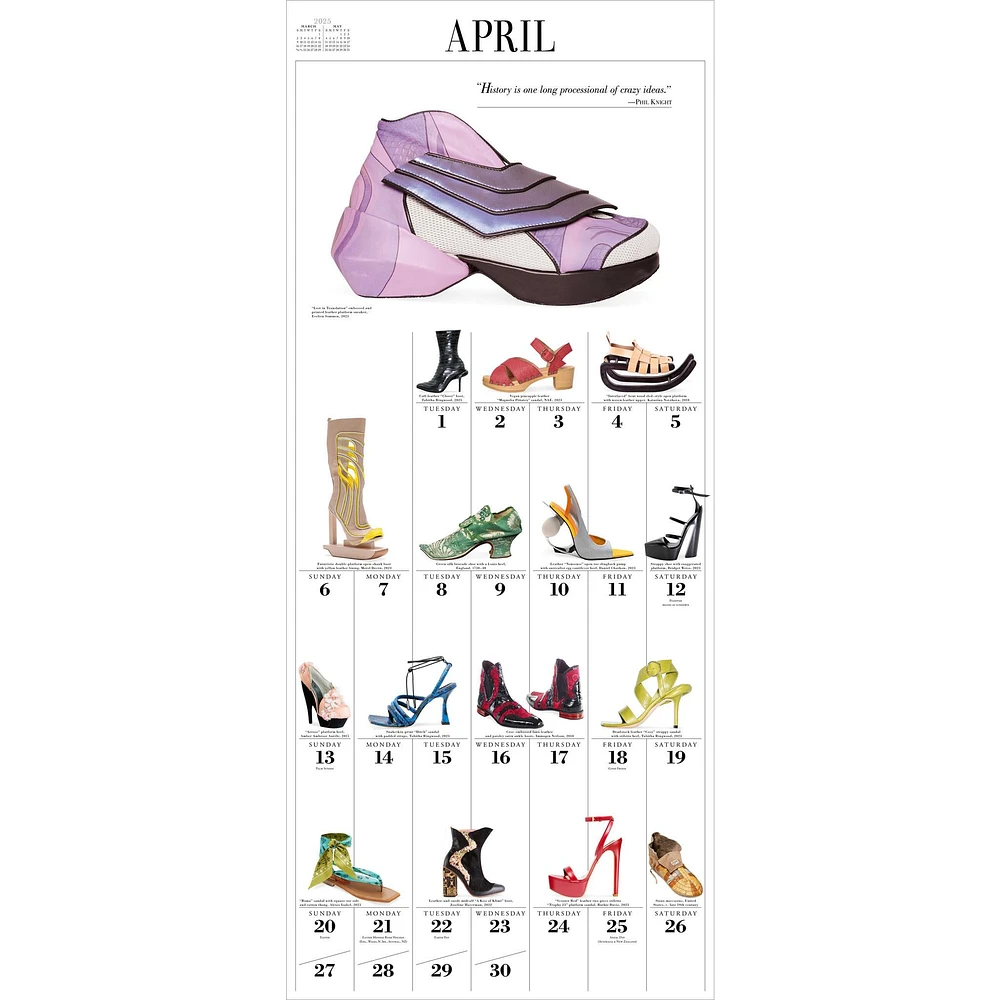 Shoes 365 Wall 2025 Calendar