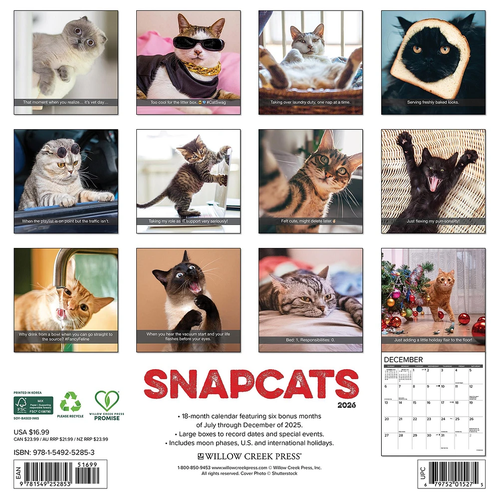 Snapcats 2026 Wall Calendar