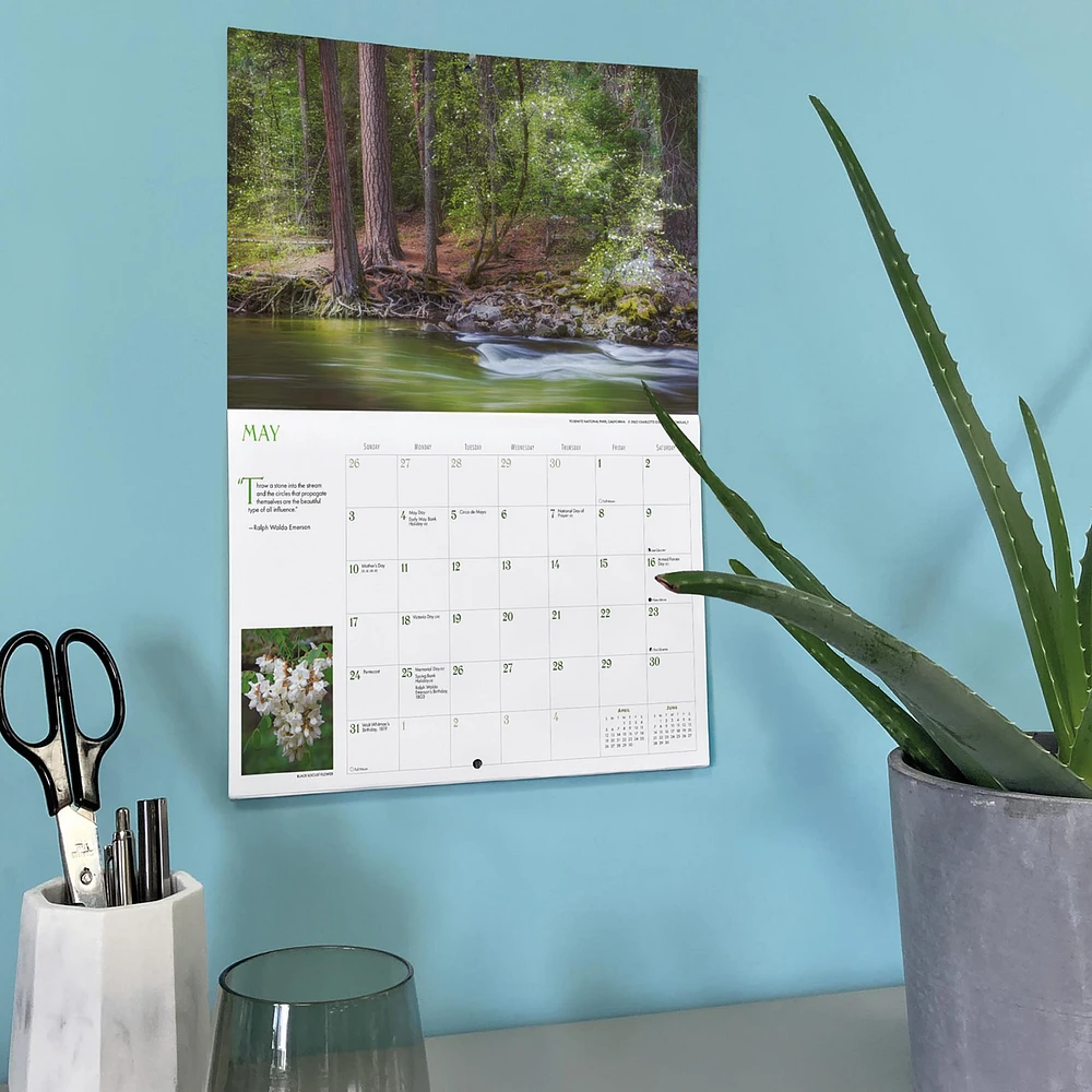Into The Woods Oversized 2026 Wall Calendar