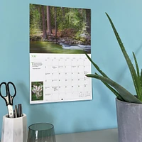 Into The Woods Oversized 2026 Wall Calendar