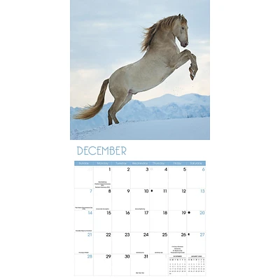 Horses Wall 2025 Calendar