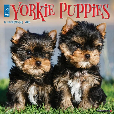 Just Yorkie Puppies 2026 Wall Calendar