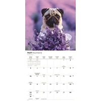 Puppy Love 2026 Wall Calendar