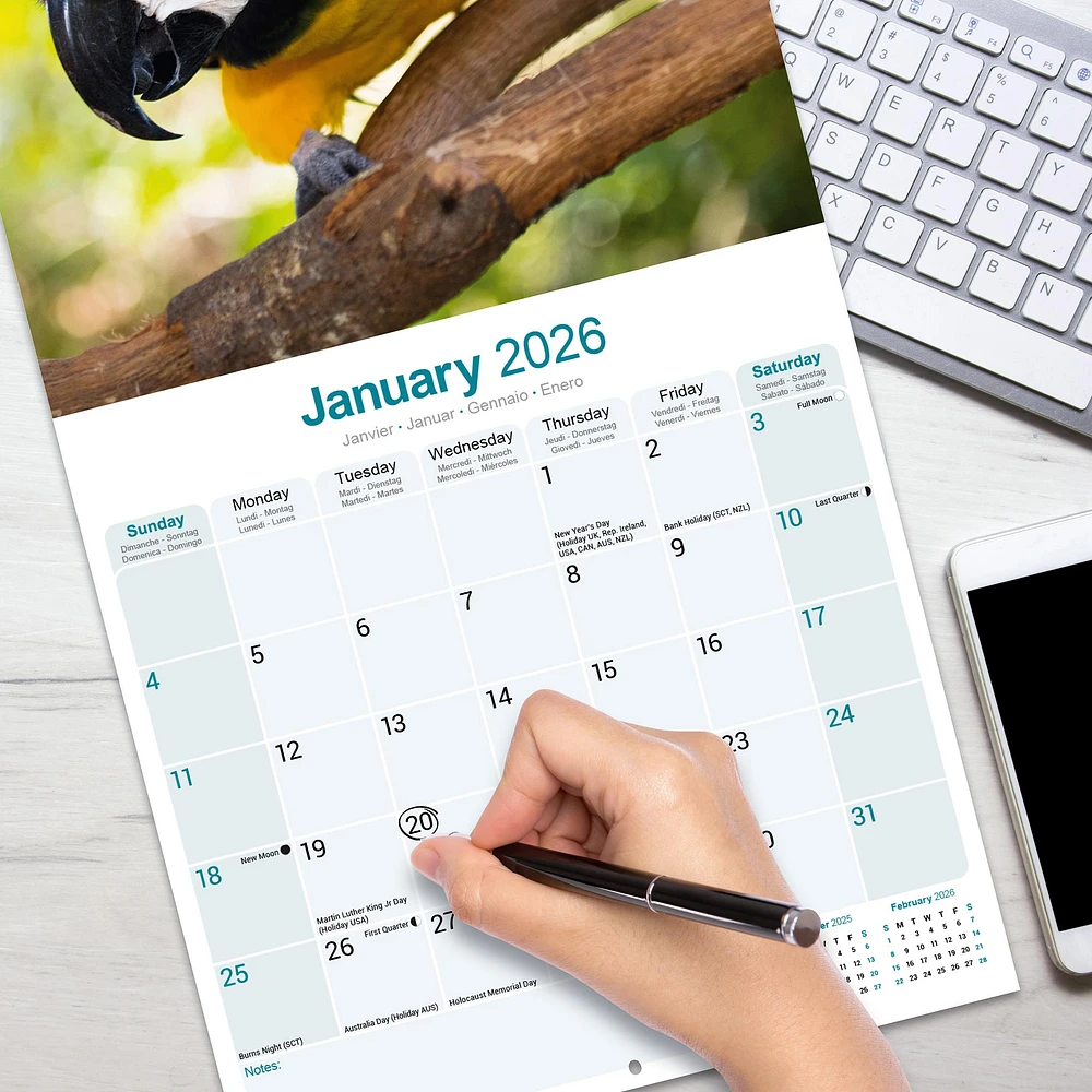 Macaws 2026 Wall Calendar