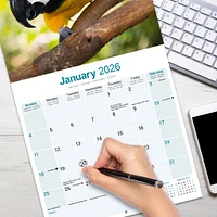 Macaws 2026 Wall Calendar