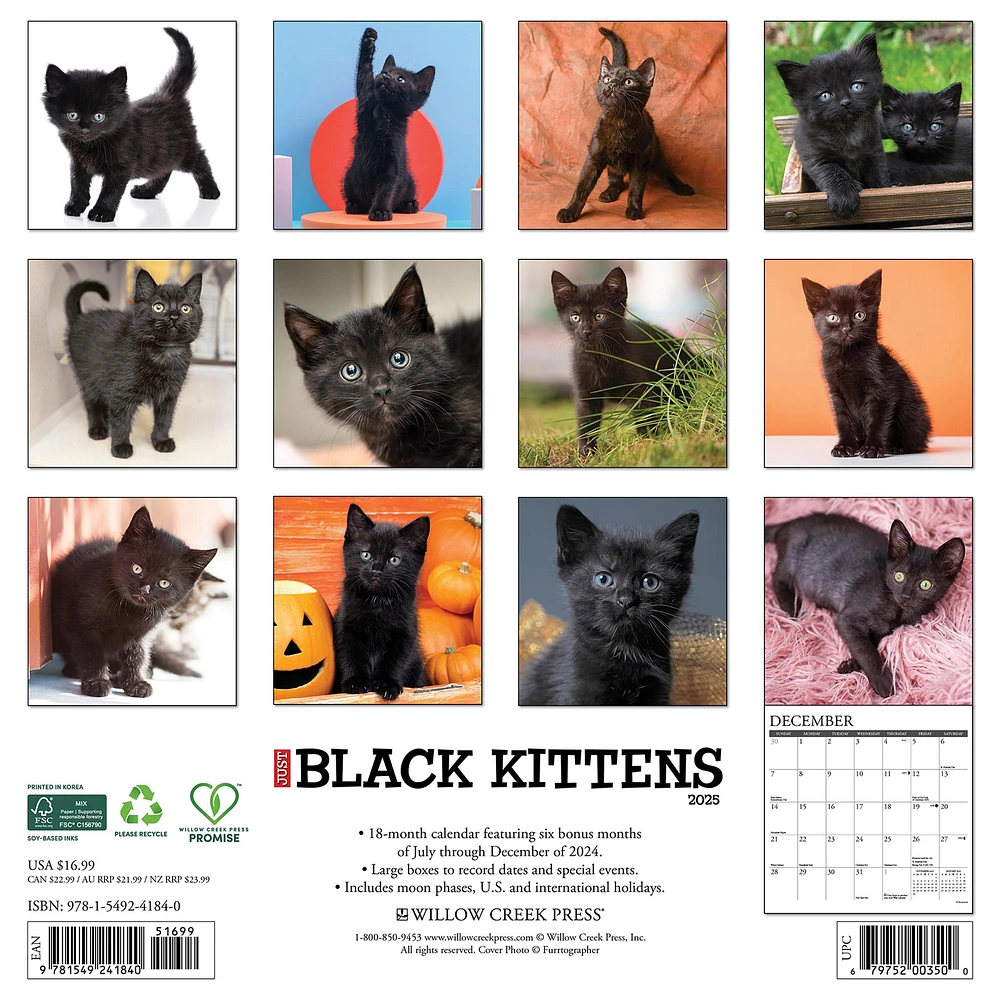 Just Kittens Wall 2025 Calendar