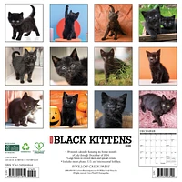 Just Kittens Wall 2025 Calendar