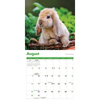 Rabbits 2026 Wall Calendar