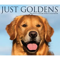 Just Goldens 2026 Box Calendar