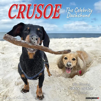 Crusoe The Celebrity Dachshund 2026 Wall Calendar