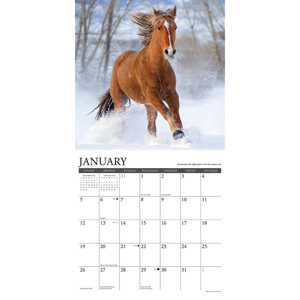 What Horses Teach Us Wall 2025 Calendar