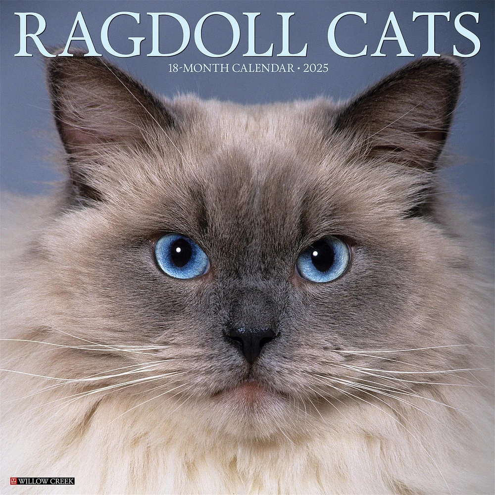 Ragdoll Cats Wall 2025 Calendar