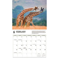 World Wildlife Fund Giraffes 2026 Wall Calendar