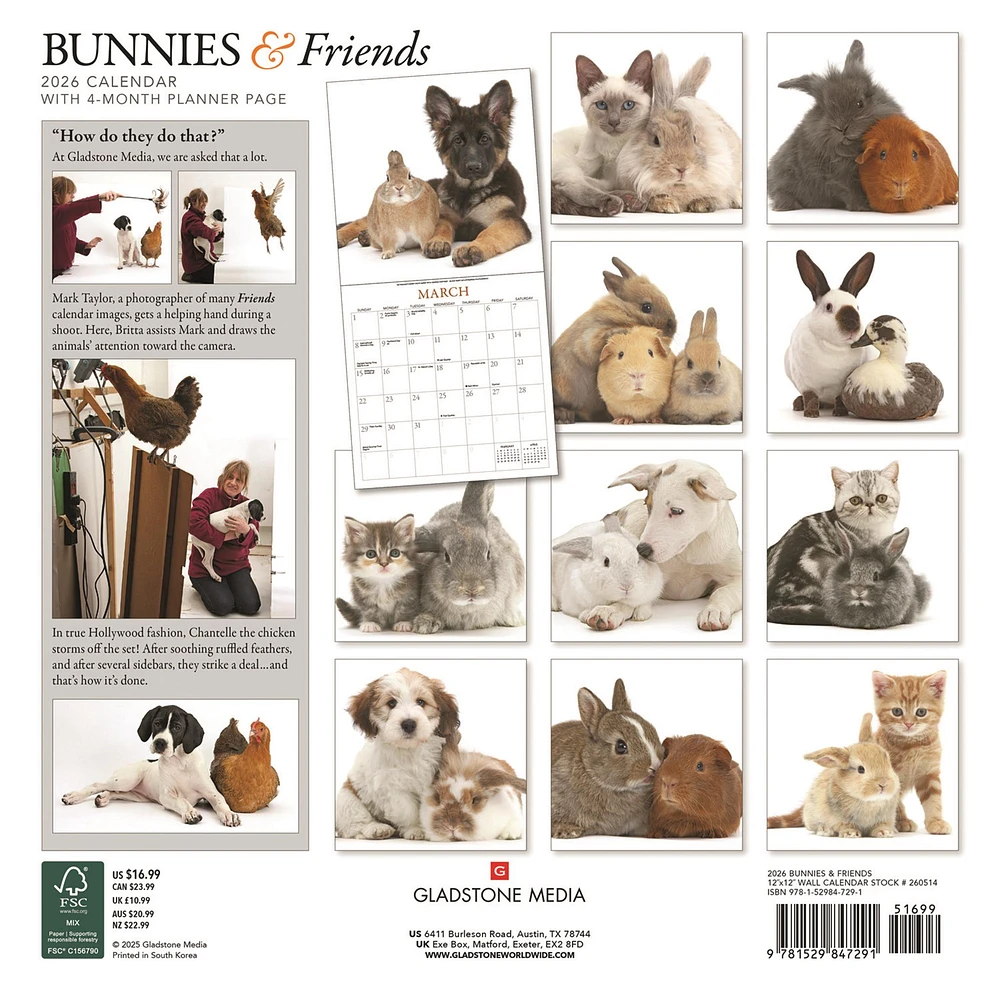 Bunnies And Friends 2026 Wall Calendar