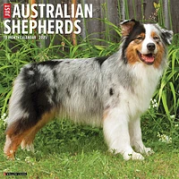 Just Australian Shepherds Wall 2025 Calendar