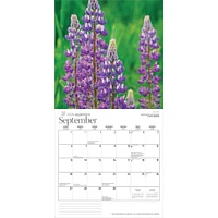 Wildflowers Of Canada 2026 Wall Calendar