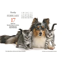 Kittens And Friends Box  2026 Calendar