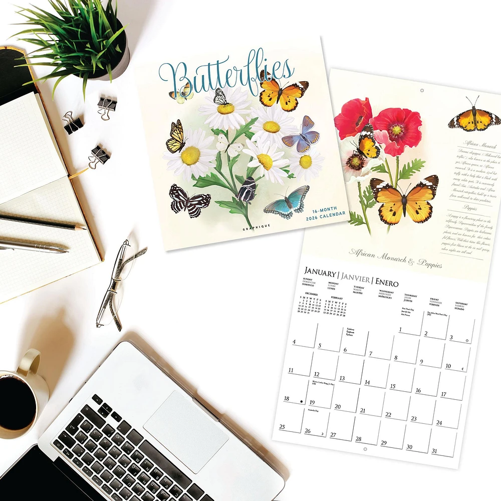 Butterflies 2026 Wall Calendar - Online Exclusive