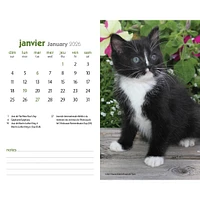 Chatons 2026 Double View Easel Calendar(French)