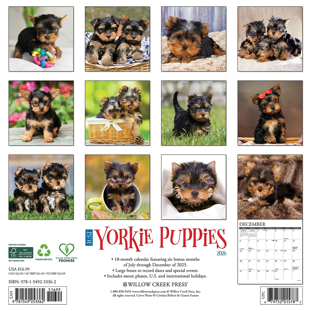 Just Yorkie Puppies 2026 Wall Calendar