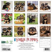 Just Yorkie Puppies 2026 Wall Calendar