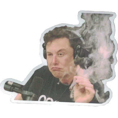 Elon Musk Vinyl Sticker