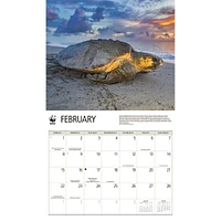 World Wildlife Fund Sea Turtles 2026 Wall Calendar
