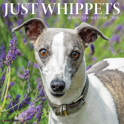 Just Whippets 2026 Wall Calendar