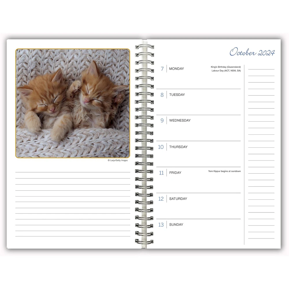 Cat Naps Engagement 2025 Calendar