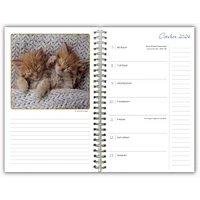 Cat Naps Engagement 2025 Calendar