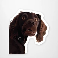 Confused Dog  Vinyl Sticker